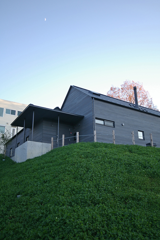 クローバーの丘に立つ三角屋根の家
