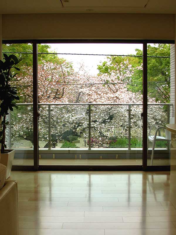 ピクチャ－ウィンド－：切り取られた「桜の咲く風景絵画」