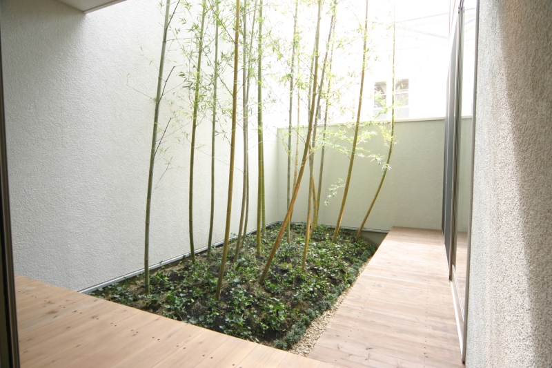 １階の和室の縁側から、竹林の庭を見る。