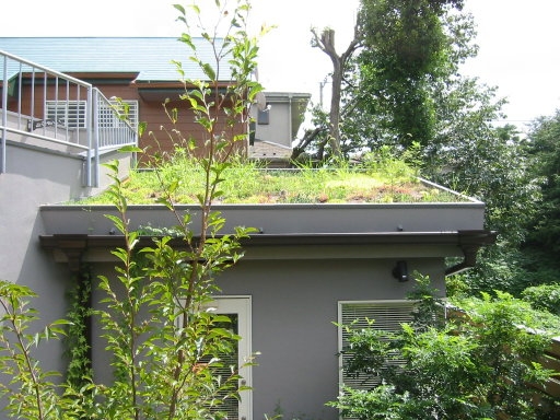 緑化した屋根