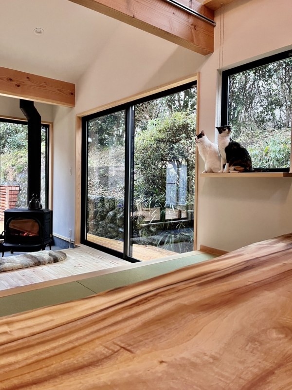 猫階段やキャットウォークでペットも楽しく快適な平屋の自然素材の家