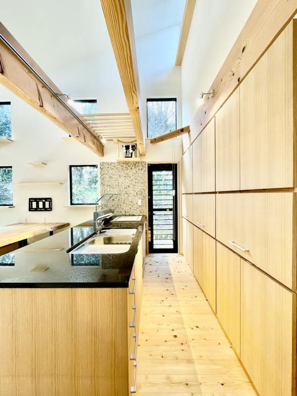 グリーンハイキとAEG食洗機を組み込んだ御影石天板の造作キッチンと造作食器棚