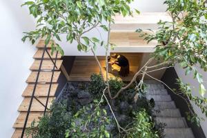 brachium｜スキップフロアで螺旋状に植栽を巡る住宅