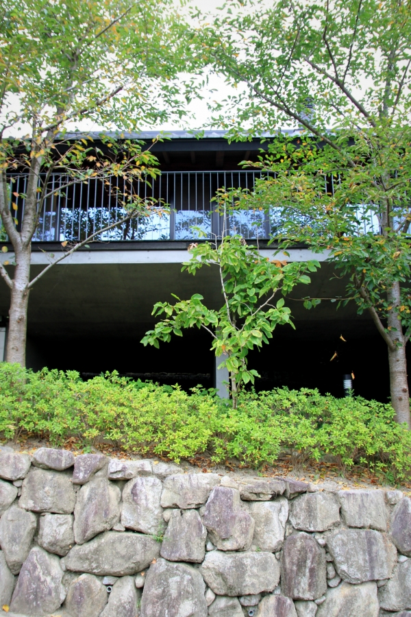 雷山の別荘 建物外観